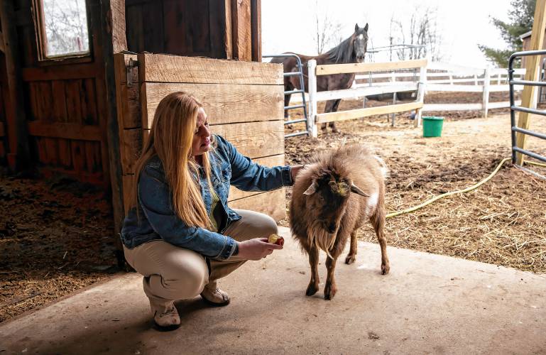 Terese Bastarache with her goat, Larry, at her farm in Loudon. Bastarache,  a well-known Republican activist, held court at the Merrimack Valley High School at the school district meeting recently, battling the moderator and other meeting attendees through a series of motions that ended in the passage of a $2 million cut to the school district’s proposed budget. 