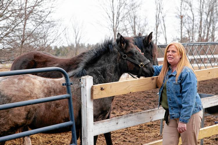Terese Bastarache with her horses at her farm in Loudon. Bastarache,  a well-known Republican activist, held court at the Merrimack Valley High School at the school district meeting recently, battling the moderator and other meeting attendees through a series of motions that ended in the passage of a $2 million cut to the school districtâs proposed budget.