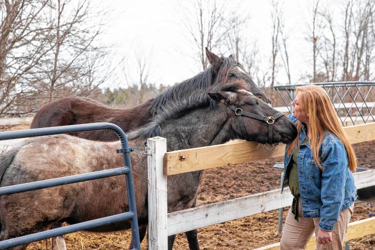 Terese Bastarache with her horses at her farm in Loudon. Bastarache,  a well-known Republican activist, held court at the Merrimack Valley High School at the school district meeting recently, battling the moderator and other meeting attendees through a series of motions that ended in the passage of a $2 million cut to the school district’s proposed budget.