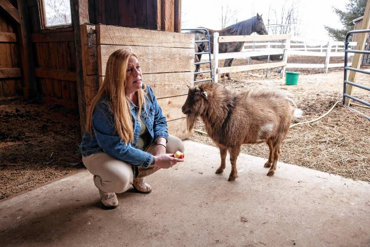 Terese Bastarache with her goat, Larry, at her farm in Loudon. Bastarache,  a well-known Republican activist, held court at the Merrimack Valley High School at the school district meeting recently, battling the moderator and other meeting attendees through a series of motions that ended in the passage of a $2 million cut to the school districtâs proposed budget.