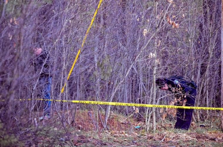 Franklin police search for clues in the woods behind the Autozone store off Central Ave. in Franklin on Wednesday.